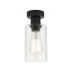 Dar_Vol3-MIU0122 - Miu - Clear Glass & Black Single Ceiling Lamp