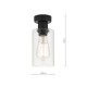 Dar_Vol3-MIU0122 - Miu - Clear Glass & Black Single Ceiling Lamp