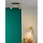 Nathaniel - Aged Brass 2 Light Spotlights