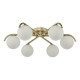 Dar-ORL6435 - Orlena - Satin Gold 6 Light Flush with White Glasses