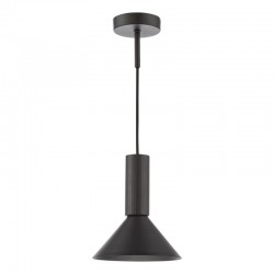 Ragnar - Satin Black Pendant or Wall Lamp