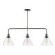 Dar-RAY0338 - Ray - Clear Glass & Antique Nickel 3 Light over Island Fitting