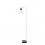 Ray - Antique Brass & Black Floor Lamp with Clear Glass Shade Ray - Antique Brass & Black Floor Lamp with Clear Glass Shade