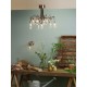 Ceiling Lights - Scroll - Transparent Glass with Copper 10 Light Centre Fitting Dar-SCR2364 - Scroll - Transparent Glass with Copper 10 Light Centre Fitting