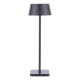 Dar_Vol3-SER4222 - Sergio - Rechargeable Solar Table Lamp IP54