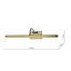 Dar-TYR6963 - Tyrus - Brushed Bronze CCT Picture Light 50 cm