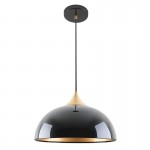 Dome - Glossy Black & Gold Pendant Dome - Glossy Black & Gold Pendant