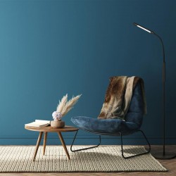 Plume - Rechargeable Black LED Floor Lamp Plume - Rechargeable Black LED Floor Lamp
