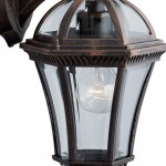Capri - Outdoor Rustic Brown Downlighter Wall Lamp