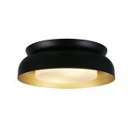 Kendal - Black & Gold Flush with White Diffuser