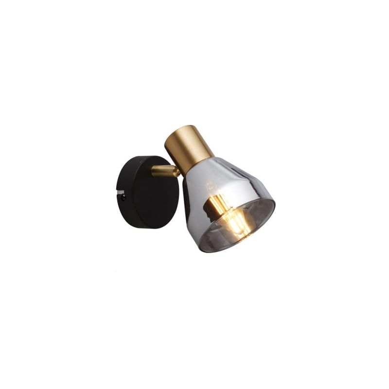 Searchlight-23801-1SM - Westminster - Black & Satin Brass Spotlight with Smoked Glass