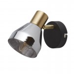 Westminster - Black & Satin Brass Spotlight with Smoked Glass Westminster - Black & Satin Brass Spotlight with Smoked Glass