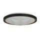 Searchlight-26185-415 - Satellite - Black & Gold LED Flush with Star Effect Diffuser