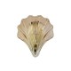 Searchlight-28980SB - Shell - Satin Brass Wall Lamp with Amber Ombre Glass IP44