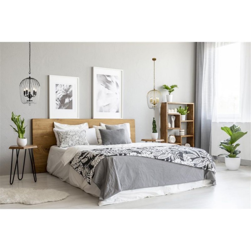 Searchlight-30216-5BK - Shower - Black 5 Light Pendant with Crystal