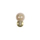 - Luminsphere - Brass Wall Lamp with Ribbed Amber Glass IP44 Searchlight-30506GO - Luminsphere - Brass Wall Lamp with Ribbed Amber Glass IP44