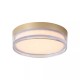 Searchlight-33230GO - Button - Matt Gold CCT Flush with Diffuser IP65
