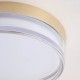 Searchlight-33230GO - Button - Matt Gold CCT Flush with Diffuser IP65