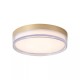 Searchlight-33300GO - Button - Matt Gold CCT Flush with Diffuser IP65