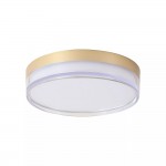 Button - Matt Gold CCT Flush with Diffuser IP65