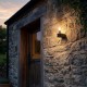 Searchlight-39920BK-PIR - Marina - Black PIR Wall Lamp with Clear Diffuser