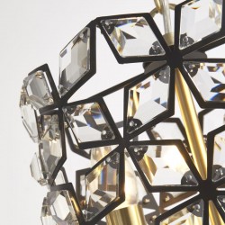 Iris - Brass & Black 2 Light Pendant with Crystal