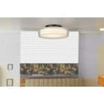 Puck - LED Clear & White with Black Bathroom Flush Puck - LED Clear & White with Black Bathroom Flush