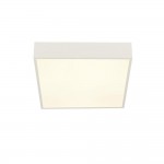 Zeus - White LED Flush with White Diffuser