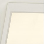 Zeus - White LED Flush with White Diffuser