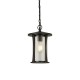 Searchlight-8476BK - Pagoda - Black Lantern Pendant with Clear Glass IP44