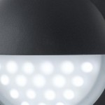 Bangor - LED Black & White Eyelid Bulkhead Bangor - LED Black & White Eyelid Bulkhead