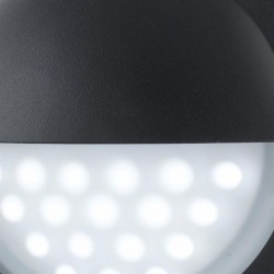 Bangor - LED Black & White Eyelid Bulkhead