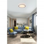 Galactic - White & Gold LED Flush with Crystal