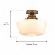 Searchlight-8072-1AB - School House - Antique Brass Flush with White Glass IP44