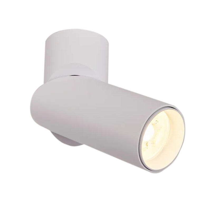 Architectural Lighting-73100 - Sallins - Adjustable Surface Mounted White Downlighting
