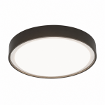Tuam - IP54 Dark Grey LED Flush Ø 30 cm