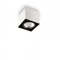 Mood - Surface-Mounted White Adjustable Spotlight Ø 9 cm