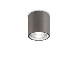 Gun - IP55 Anthracite Ceiling Lamp
