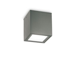 Techo - Surface-Mounted Anthracite Ceiling Light IP54