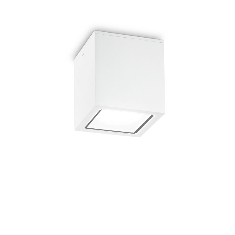 IdealLux-251523 - Techo - Surface-Mounted White Ceiling Light IP54