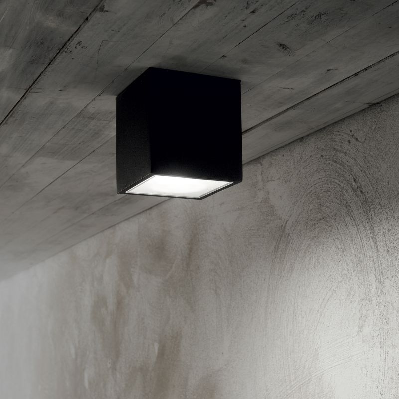 IdealLux-251530 - Techo - Surface-Mounted Black Ceiling Light IP54