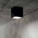 IdealLux-251530 - Techo - Surface-Mounted Black Ceiling Light IP54