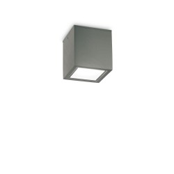 Techo - Surface-Mounted Anthracite Ceiling Light IP54
