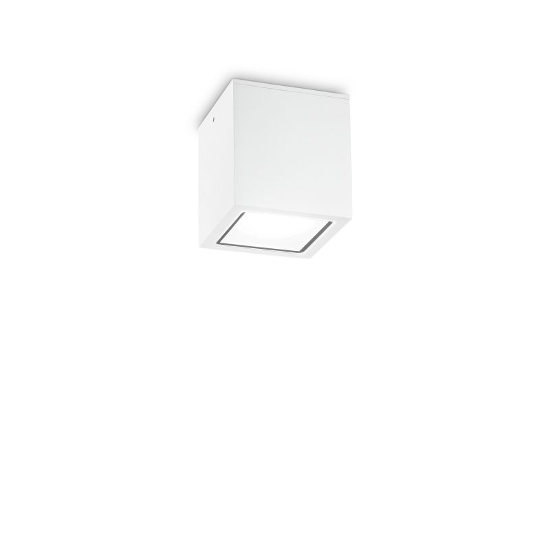 IdealLux-251561 - Techo - Surface-Mounted White Ceiling Light IP54