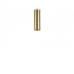 Look - Surface-Mounted Satin Brass Cylindrical Spotlight Look - Surface-Mounted Satin Brass Cylindrical Spotlight