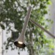 IdealLux-285337 - Diesis - Satin Nickel LED Floor Lamp