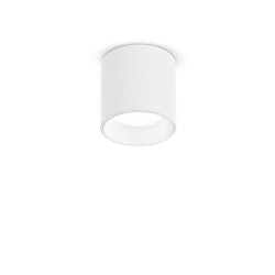 Nitro - Surface-Mounted White Cylindrical LED Spotlight Ø 4 cm