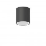 Techo - IP54 Surface-Mounted Black Ceiling Light ∅ 9 cm