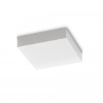 Snow - IP65 White Flush 4000K
