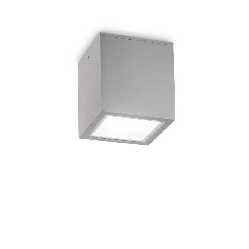 IdealLux-326887 - Techo - Surface-Mounted Grey Ceiling Light IP54